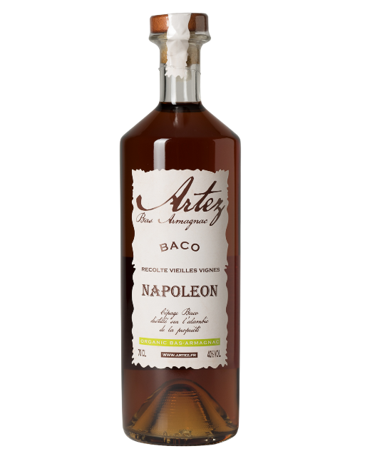 Armagnac Baco VSOP la rondeur du cepage baco